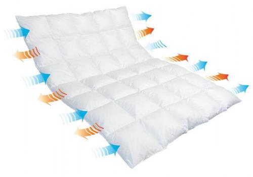 Zugdecken - Kissen - Bettwäsche